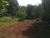 After tilling