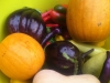 New England Pie Pumpkins, Waltham Butternut Squash and Black Beauty Eggplant