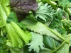 Salad Mix/Braising Mix