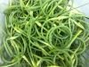 Garlic Scapes