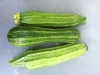 Costata Romanesco Zucchini