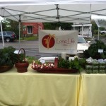 Hopkinton Farmers Market is working on a revitalization plan, come join the volunteer team!