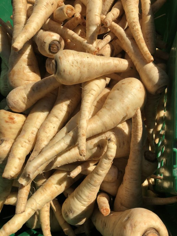 Organic Parsnips (1 lb)