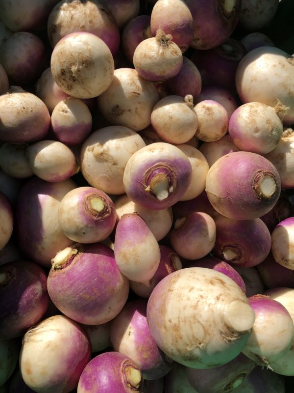 Organic Purple Top Turnips (1 lb)