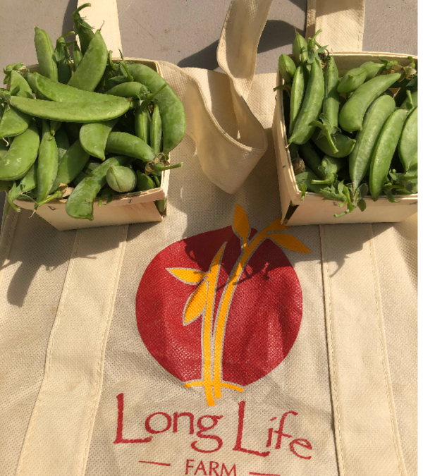 Organic Sugar Snap Peas - 1 pint